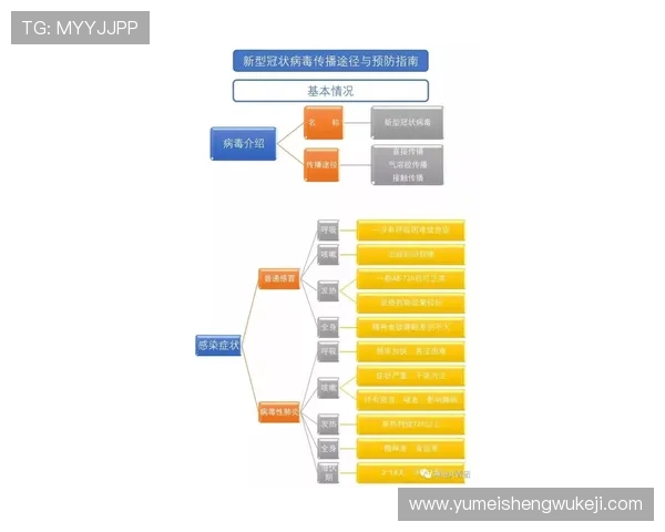 访问k8手机登录官网的最佳途径，确保账号信息安全的完整流程指南