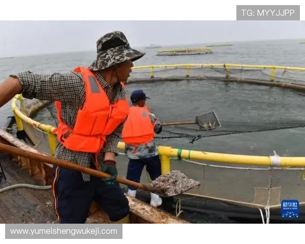 如何在ag捕鱼网投平台上快速提现和安全交易的实用技巧分享