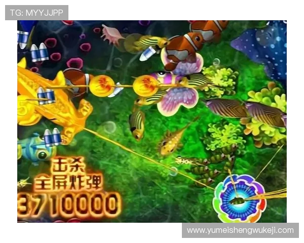 星力电玩：如何选择最适合你的游戏机型号与配件指南