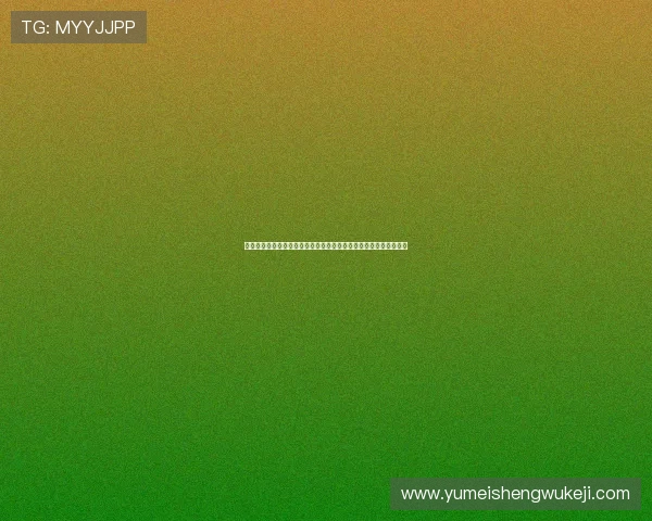 恒利娱乐城：专业客服全天候服务确保每位玩家的游戏体验顺畅无忧