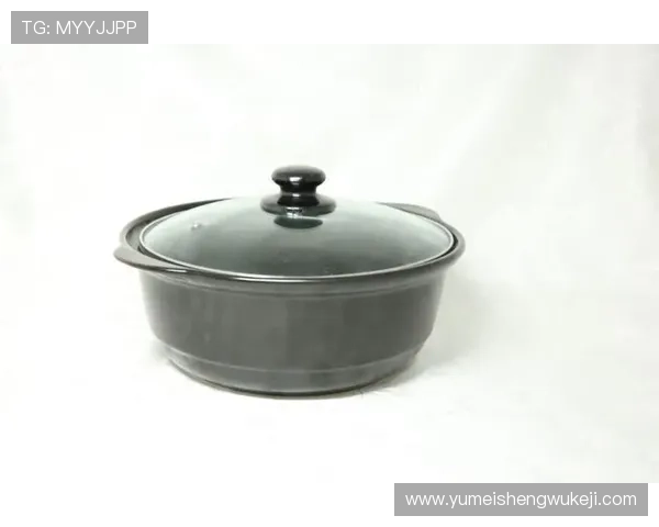 K8电子网址的支付方式与提现流程介绍，确保您的资金安全与快速到账