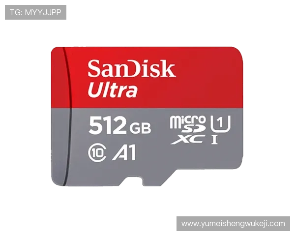 东博视讯官网最新资讯与产品介绍全面解析助你快速了解行业动态