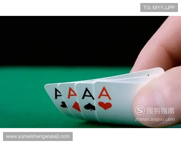 二八杠游戏规则与玩法介绍：新手必看的全面指南