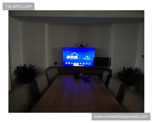 云视讯会议电脑版安全性分析,保障企业数据隐私与会议内容的安全防护措施 云视讯会议电脑版安全性分析,保障企业数据隐私与会议内容的安全防护措施