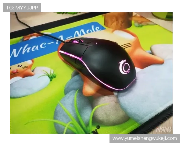 凯发平台网页版登录安全指南帮助玩家顺利进入游戏体验最新优惠活动推荐