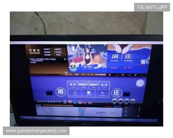 实用百家乐路单实例分享助你理解不同路单类型的特点与应用技巧