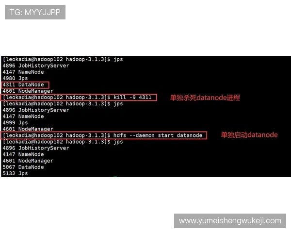 提升dg视讯游戏体验的实用技巧与常见问题解决方案全面指南