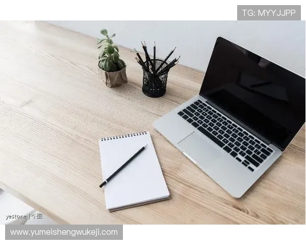 深入剖析AG百家打法策略与技巧提升游戏胜率的全面攻略与实用建议