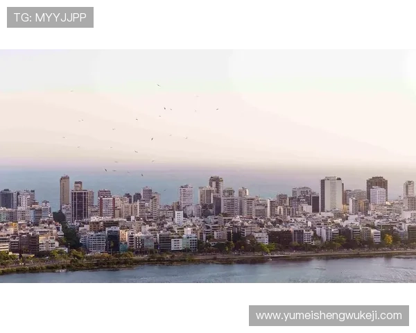 百家乐路图的最佳实践：结合实际案例学习提升你的策略水平