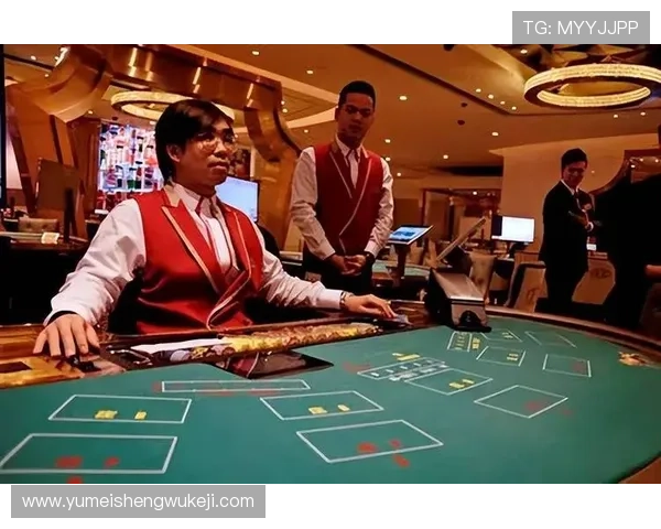 百家乐荷官在游戏中的角色与责任分析提升游戏体验和确保公平公正的关键因素