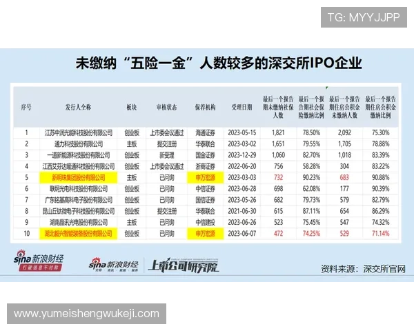百家乐不倒翁注码法的详细技巧与实战攻略助你轻松掌握稳定盈利秘诀